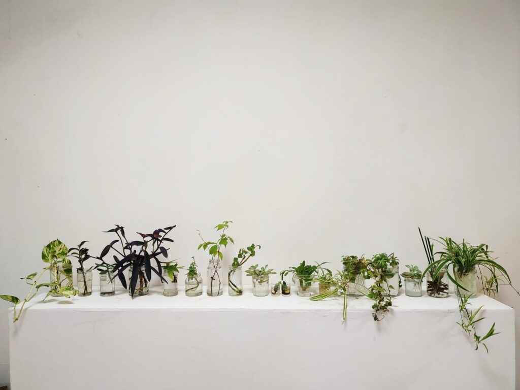 Il faut cultiver notre jardin