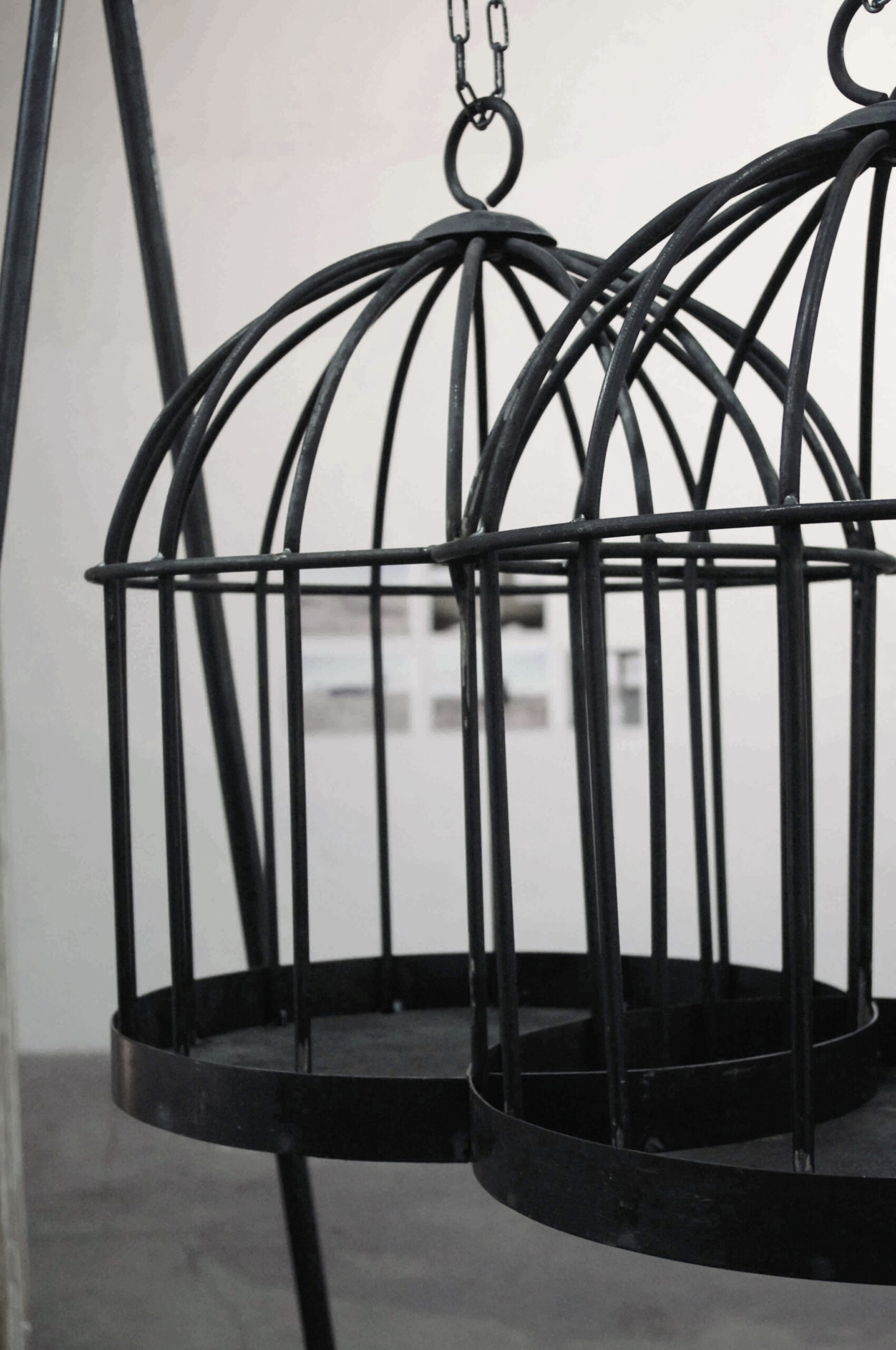 Cage(s)